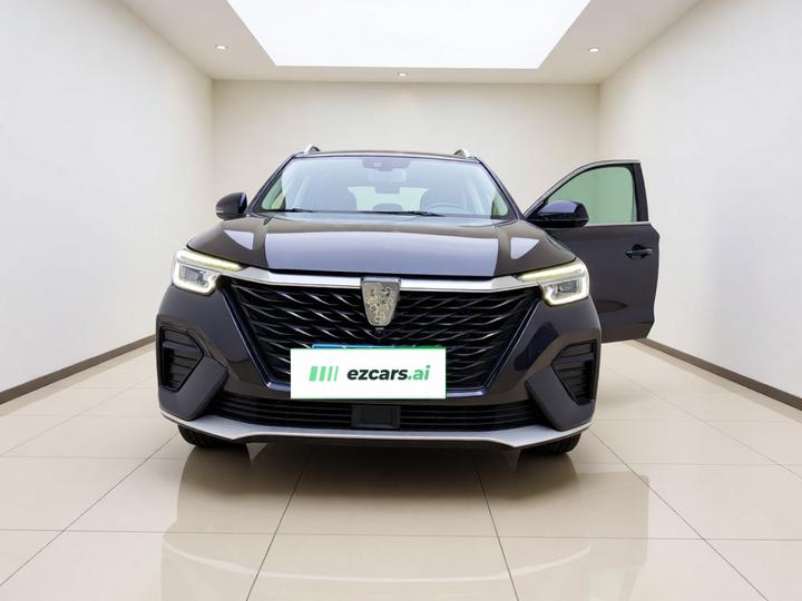 RX5 2020 PLUS 300TGI MT Ali Luxury photo 2