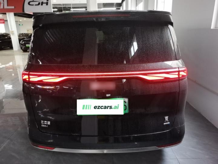 2025 DM-i 1.5T 100km photo 5
