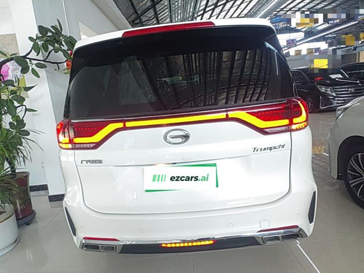 GAC Trumpchi M8 2020 Pilot 390T Exclusive photo 3
