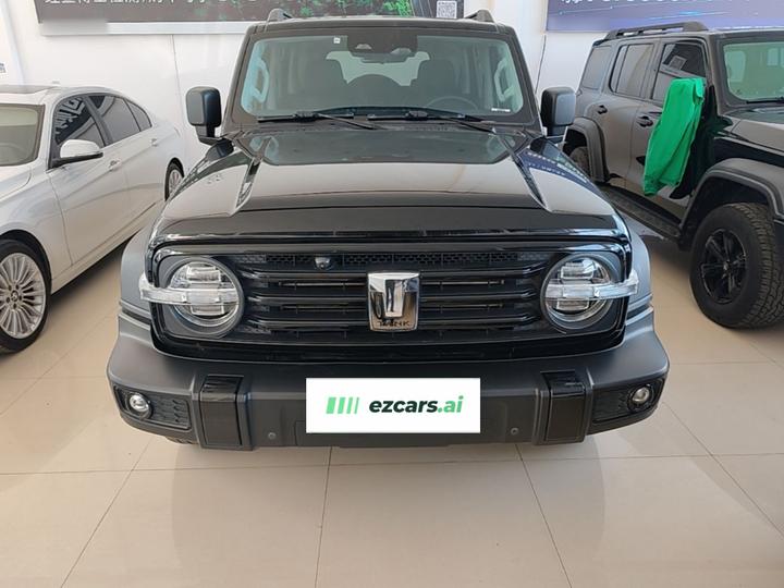 300 2023 Off-road 2.0T Conqueror photo 2