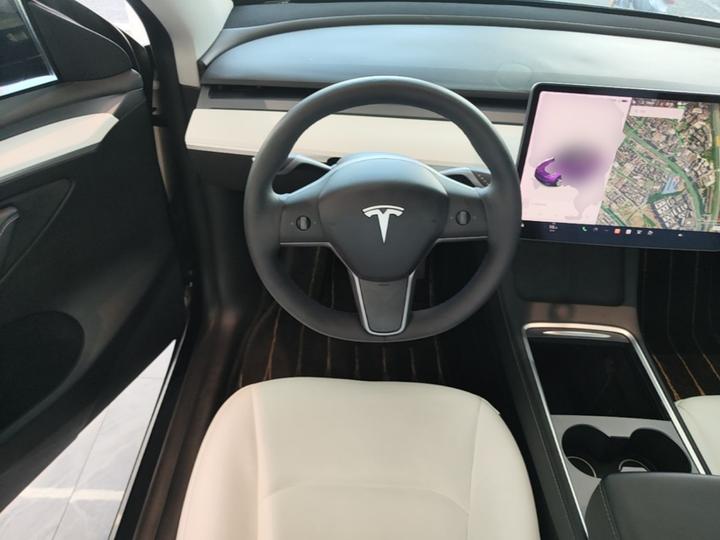 Model Y 2021 Standard Range RWD photo 3