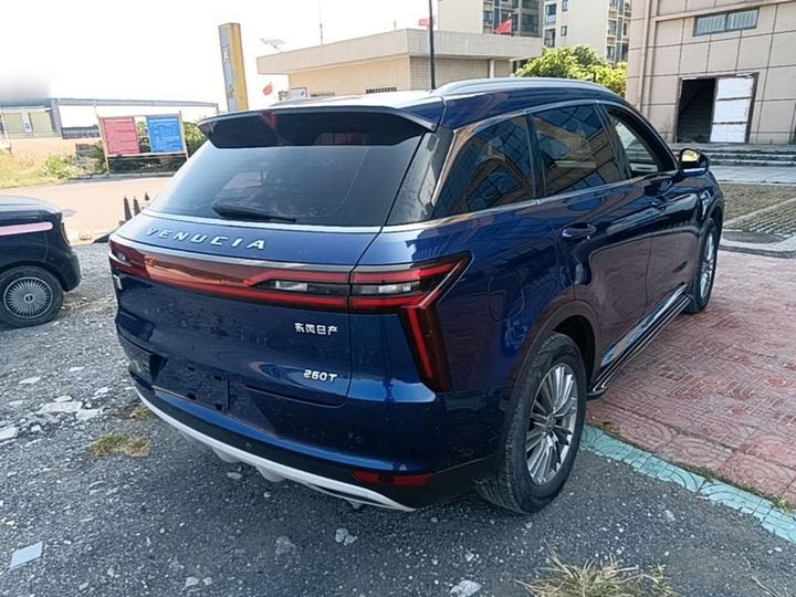 2021 260T AT 48V Mild Hybrid photo 6