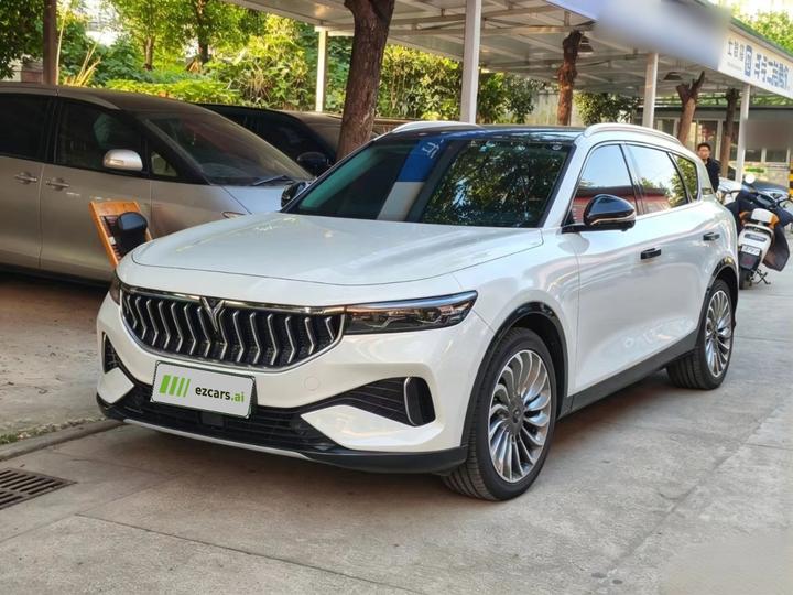 Voyah FREE 2021 AWD Standard EV Luxury