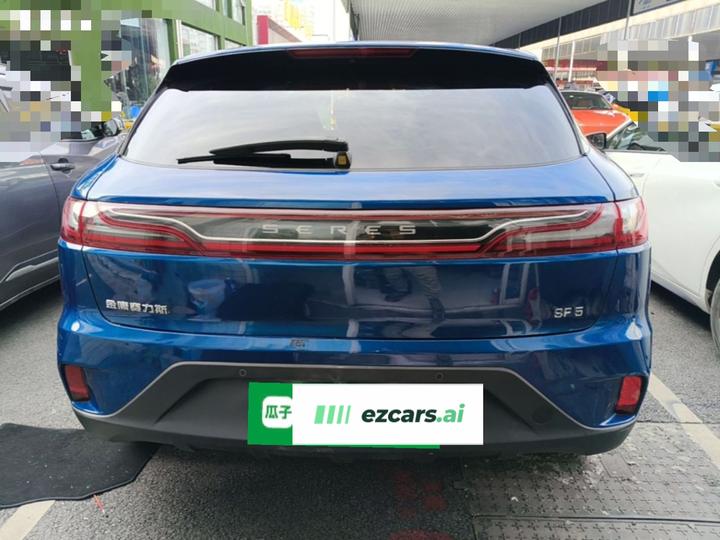 SERES SF5 2020 AWD Performance Sport photo 3