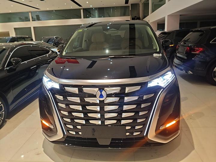 D9 2024 DM-i 980 AWD Noble photo 2