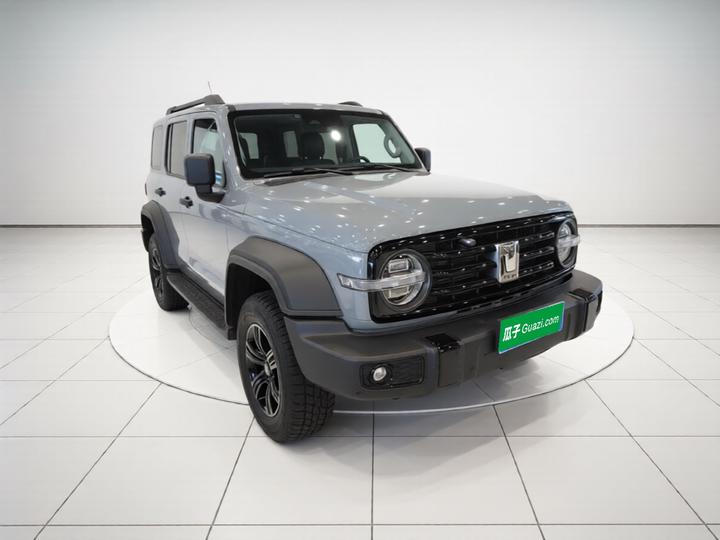 300 2021 Off-road 2.0T Conqueror photo 3