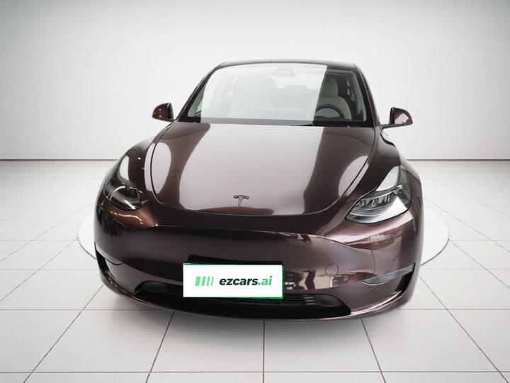 Model Y 2021 Standard Range RWD photo 2