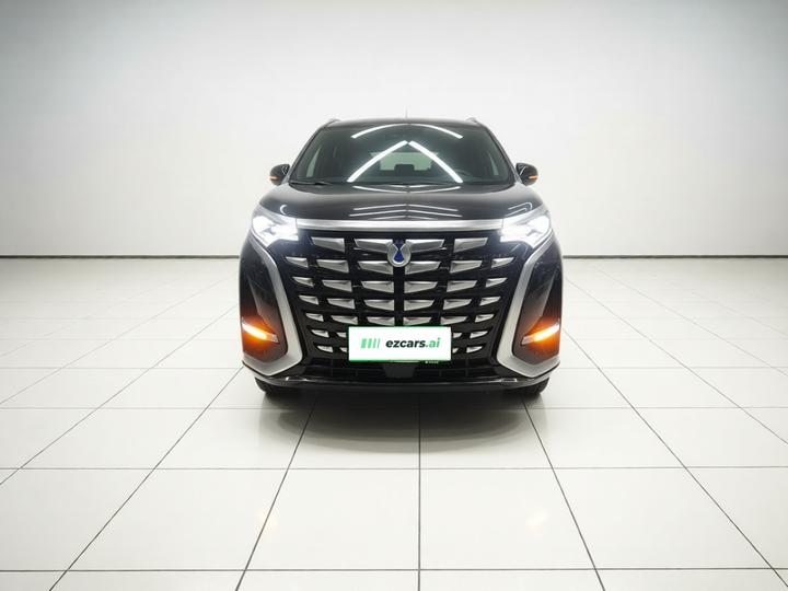 D9 2022 DM-i 970 AWD Noble photo 2