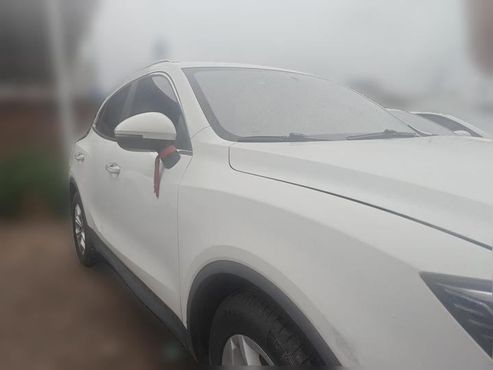 BX5 2017 20TGDI AT RWD Pioneer photo 3