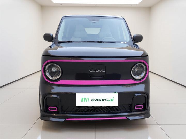 2024 200km Panda photo 2