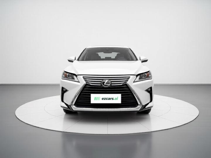 RX 2016 300 RWD Elite China V photo 2