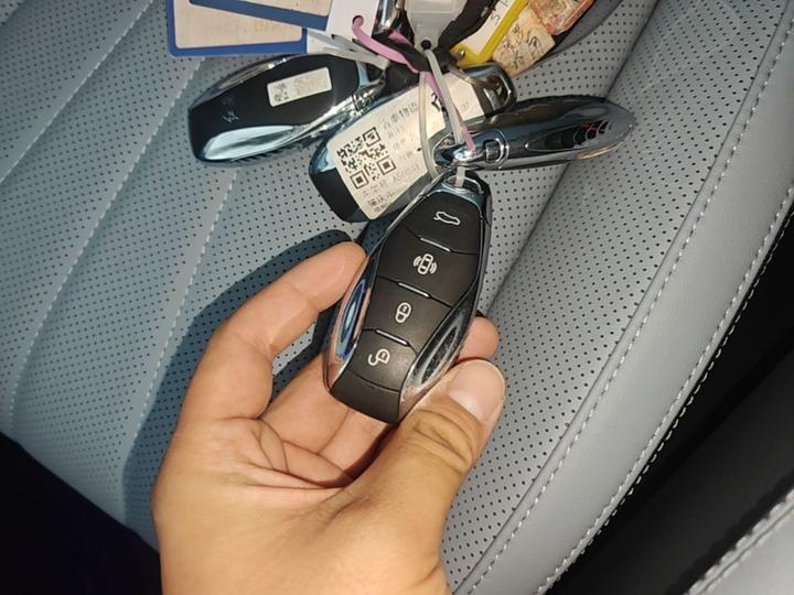 H5 PHEV 2025 170 photo 8