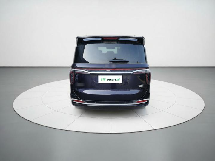 HQ9 PHEV 2024 2.0T AWD Business photo 5
