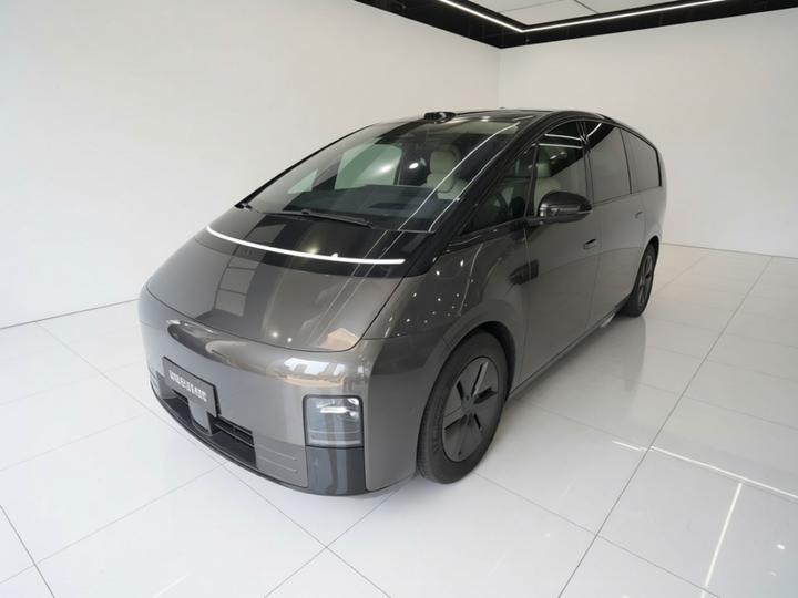 Li MEGA 2025 Home Family Special