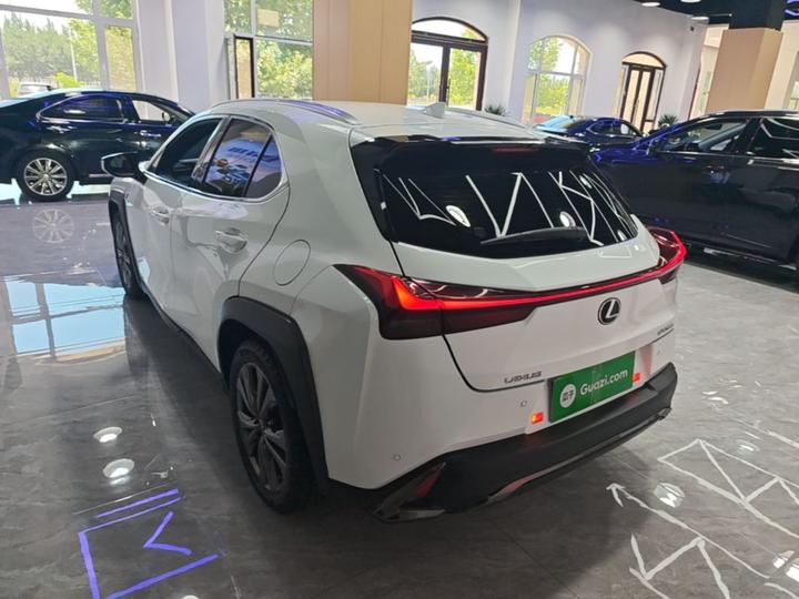 UX 2020 Facelift 200 F SPORT photo 4