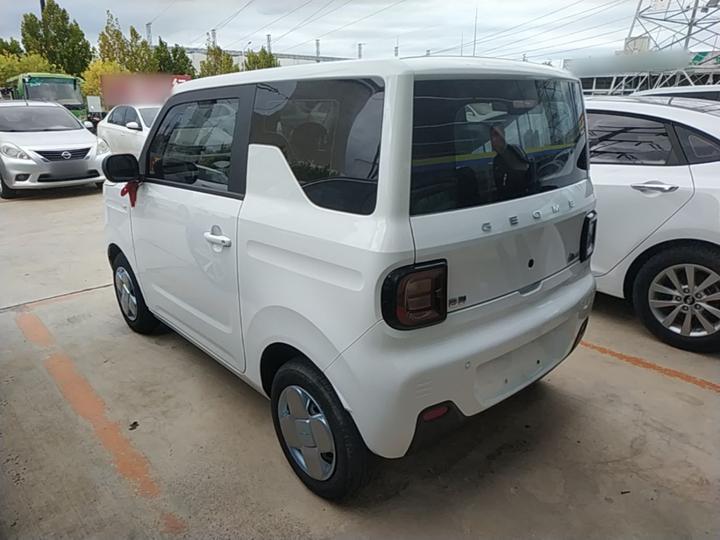 2024 Panda mini 200km Endurance Bear photo 4