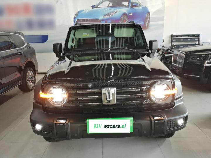 300 2025 2.0T Petrol photo 2