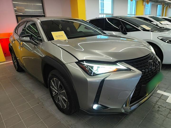 UX EV 2020 300e photo 3