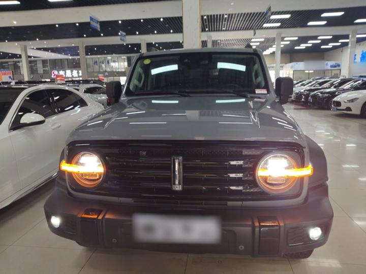 300 2021 Off-road 2.0T Conqueror photo 2