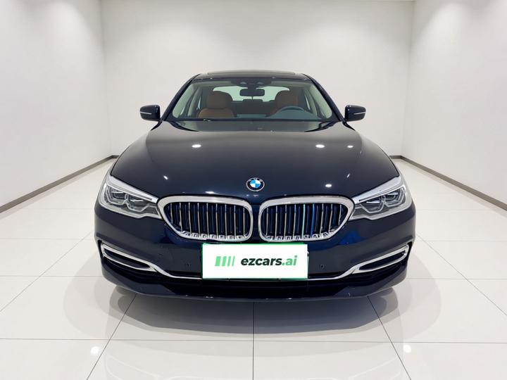 5 Series EV 2019 530Le Luxury photo 2