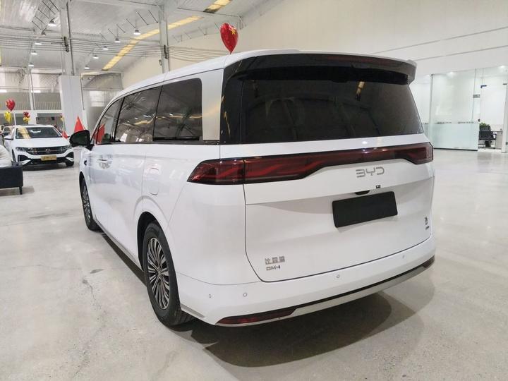 2025 DM-i 1.5T 180km Excellence photo 6