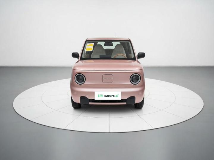 2024 Panda mini 200km Endurance Bear photo 2