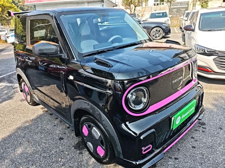 2025 210km Panda photo 3