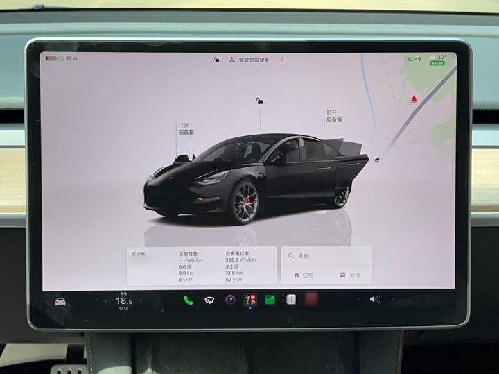 Model 3 2022 Performance AWD photo 8