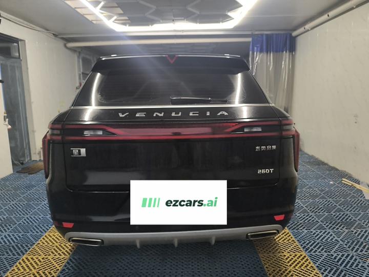 2020 260T AT 48V Mild Hybrid photo 5