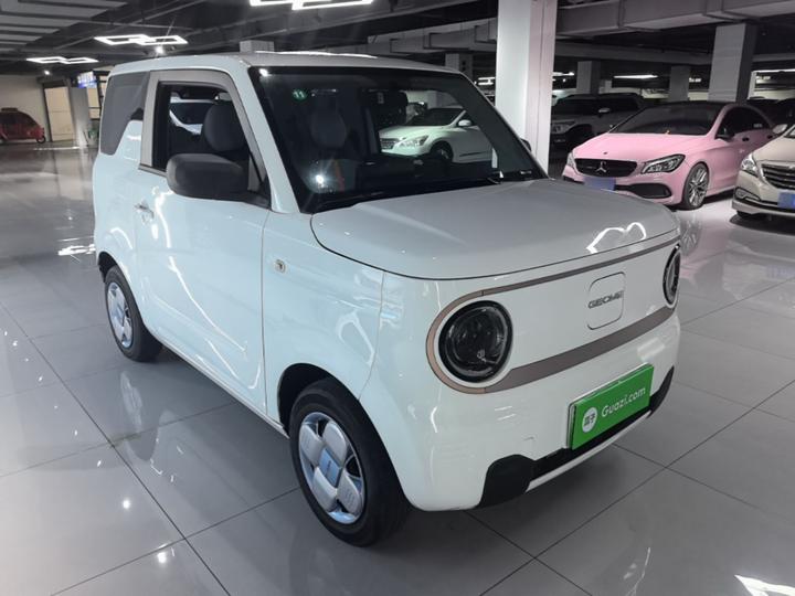 2023 Panda mini 200km Endurance Bear photo 3