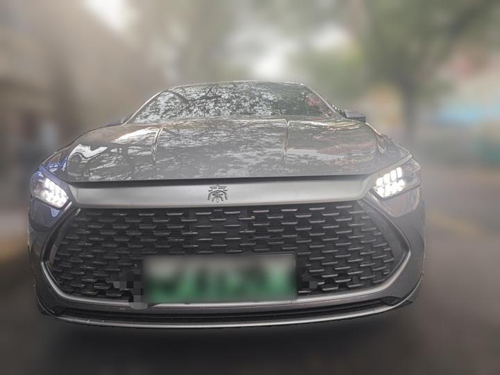 Qin PLUS 2024 Honor DM-i 55KM Leading photo 2