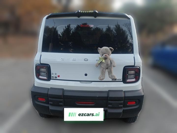 2025 210km Panda photo 5