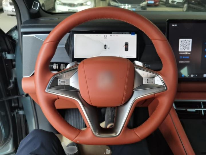 Tang L 2025 DM 175KM photo 6