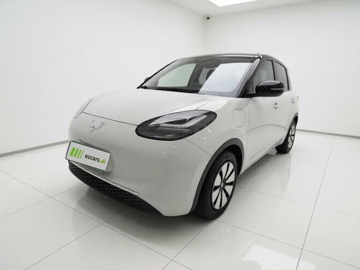 Wuling Bingo 2023 333km +