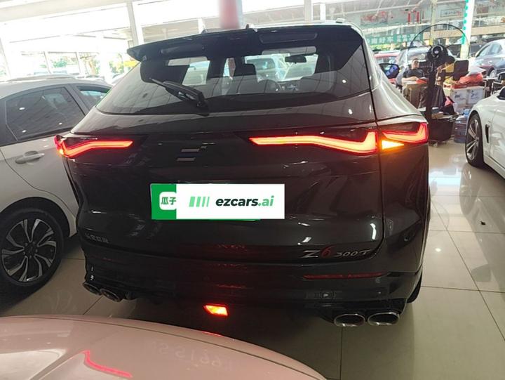 Z6 2023 1.5T DCT photo 2