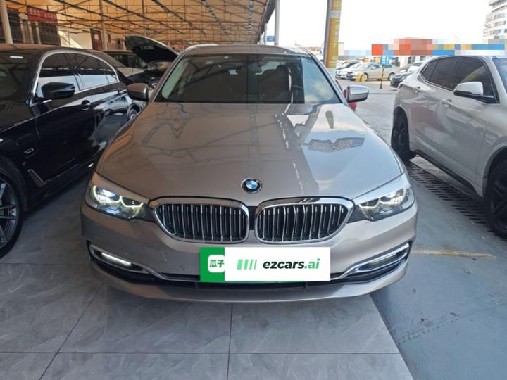 5 Series 2019 530Li Leading Luxury photo 2