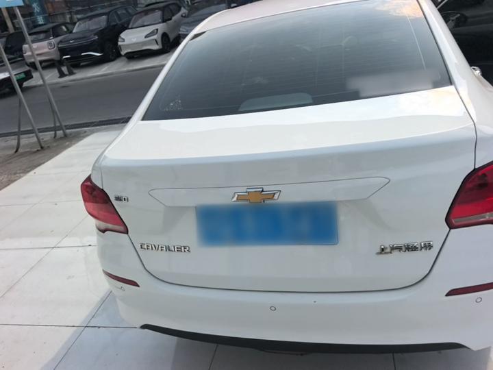 Cavalier 2019 320 MT photo 3