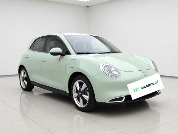 Good Cat 2022 400km Standard Range Luxury LFP photo 3