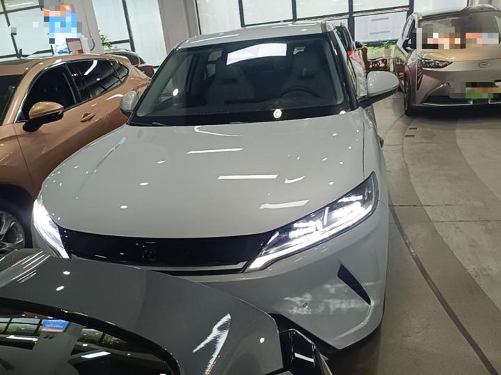 Yuan UP 2025 ADAS 401KM photo 2