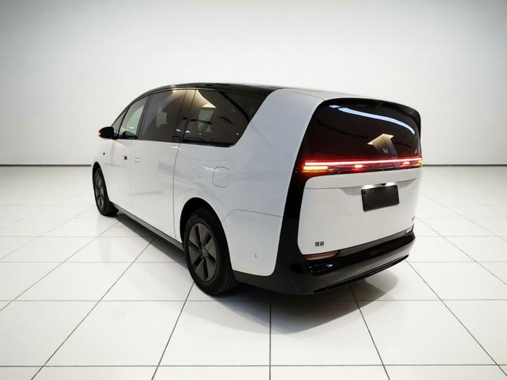 Li MEGA 2025 Ultra Smart Refresh Edition photo 4