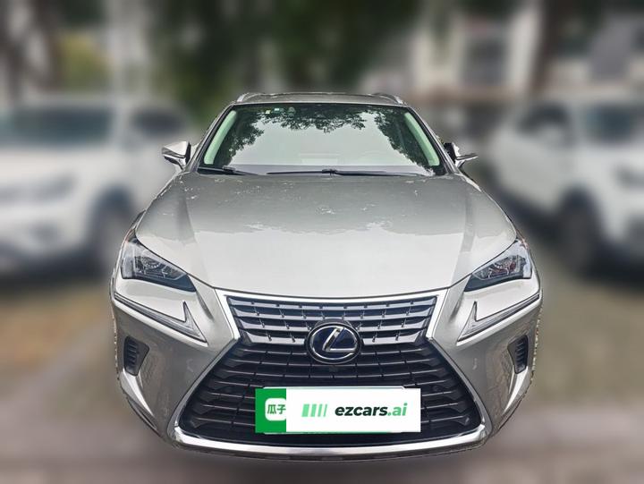 NX 2020 300h FWD China VI photo 2