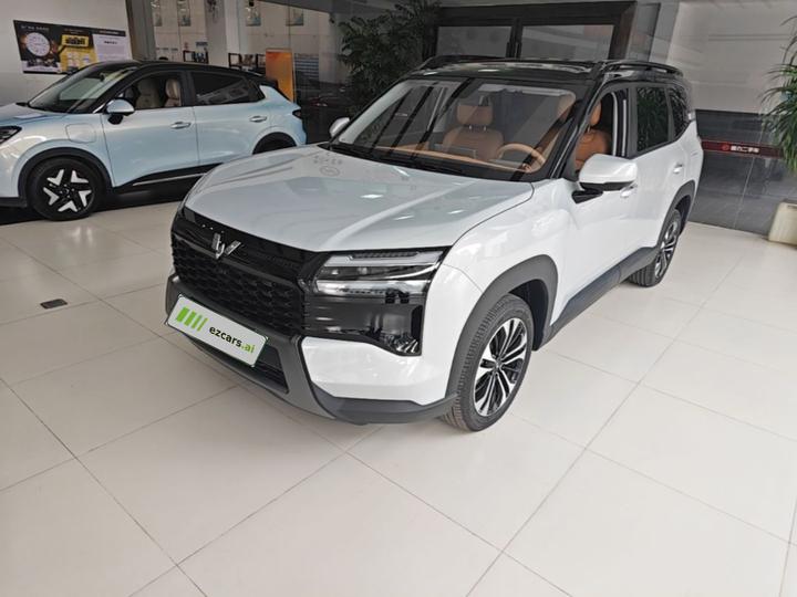 560 EV 2026 125km Luxury