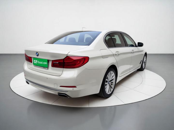 5 Series 2019 530Li Leading Luxury photo 6