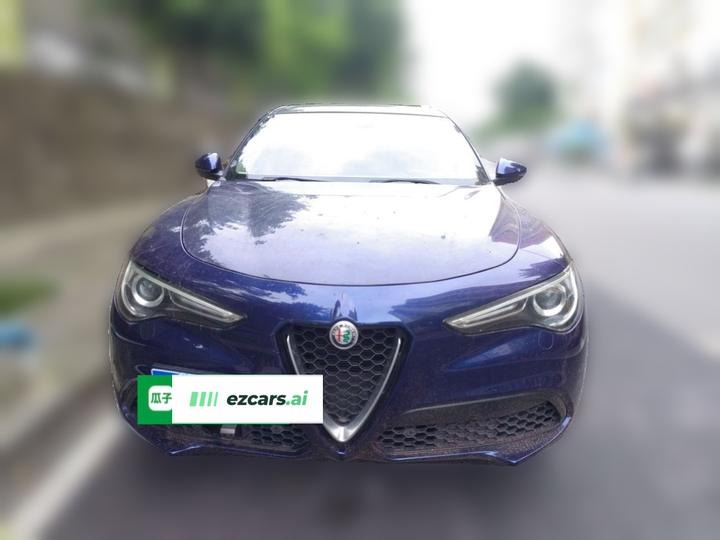 Alfa Romeo Stelvio 2017 2.0T 200HP Elite photo 2