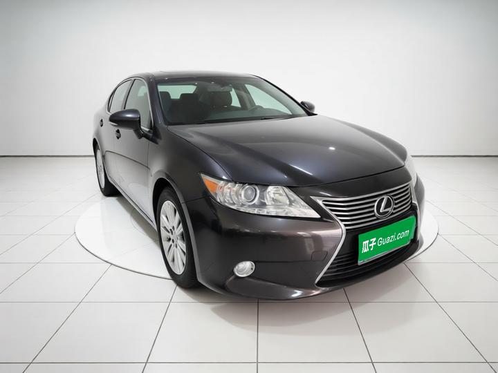 ES 2013 250 Elite photo 3