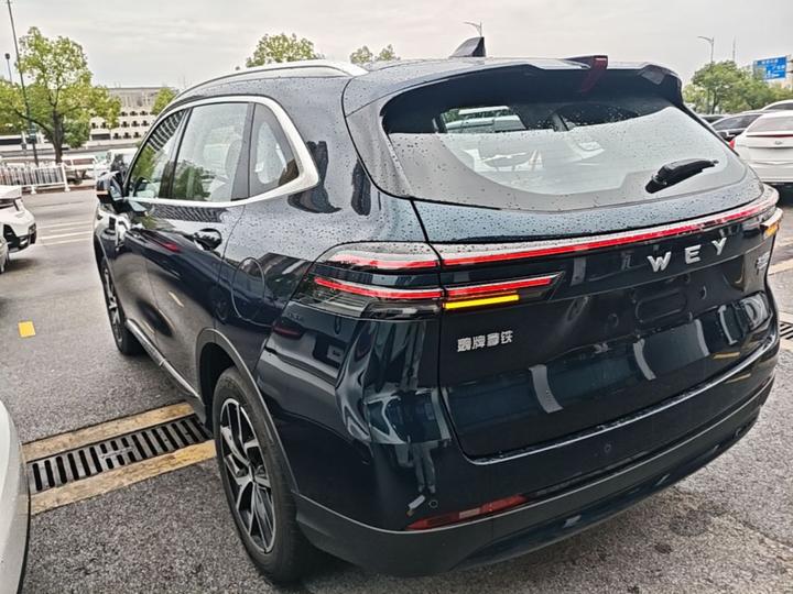Latte DHT-PHEV 2022 1.5T AWD photo 4