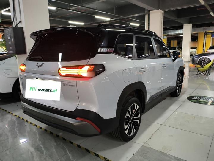 560 EV 2026 125km Luxury photo 4