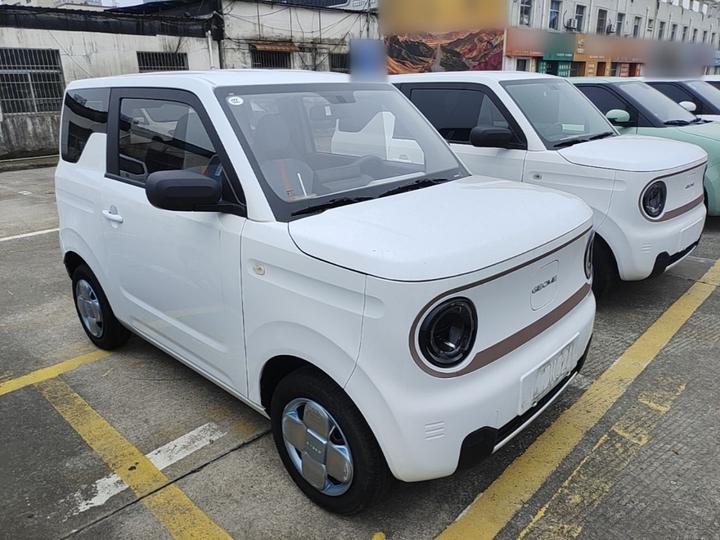 2023 Panda mini 200km Endurance Bear photo 3
