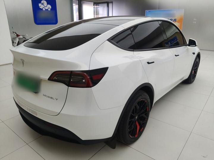 Model Y 2024 RWD photo 4