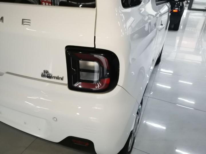2024 Panda mini 200km Endurance Bear photo 7
